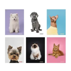 Zošit A5 54 listový Friends 63323