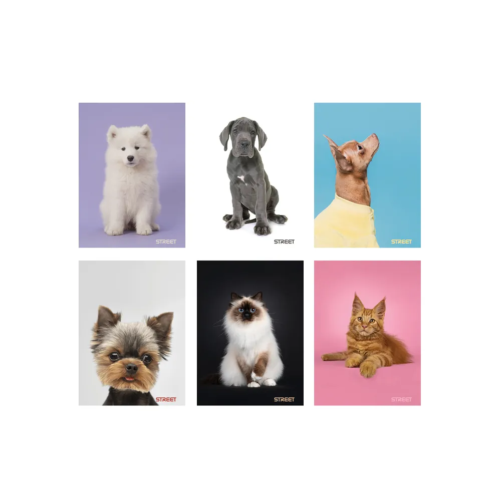 Zošit A5 54 listový Friends 63323