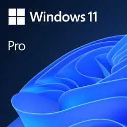 Windows 11 Professional - 1 PC